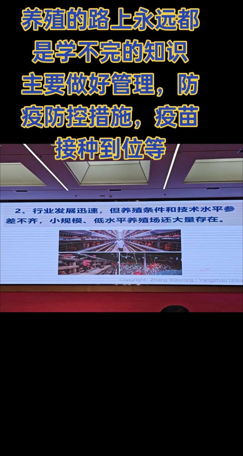 高山之巅：探寻养殖业的生态绿洲