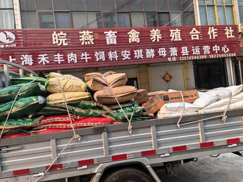 绿色梦想：生态养殖场的未来